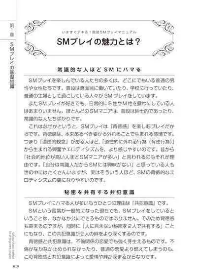 いますぐデキる 図説SMプレイマニュアル