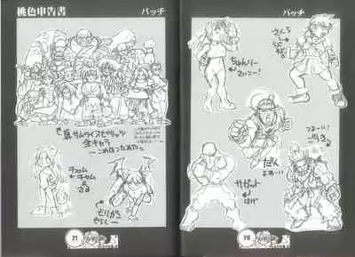 桃色申告書 ver.MILLENNIUM FALCON