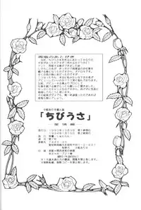 (CR14) [Shunran (Yuuki Alice)] Chibiusa Aijouhen (Bishoujo Senshi Sailor Moon R)