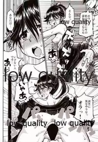 鳳翔さんだらけのオンリーマガジン「すてきな嫁さん」2019年版