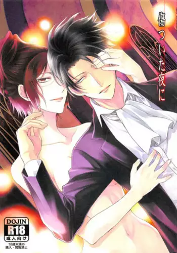 (C86) [RIX (Mamiya)] Kizutsui ta yoru ni (Shingeki no Kyojin)