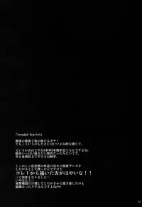 (Reitaisai 10) [MegaSoundOrchestra (Sanwaribiki) Over The Scarlet (Touhou Project)