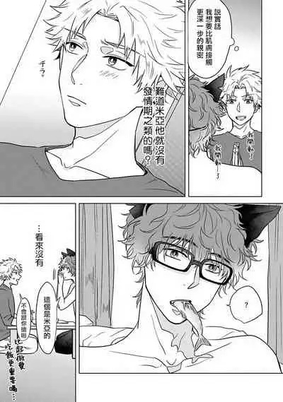 Fukurou no Koiwazurai | 猫头鹰的相思病