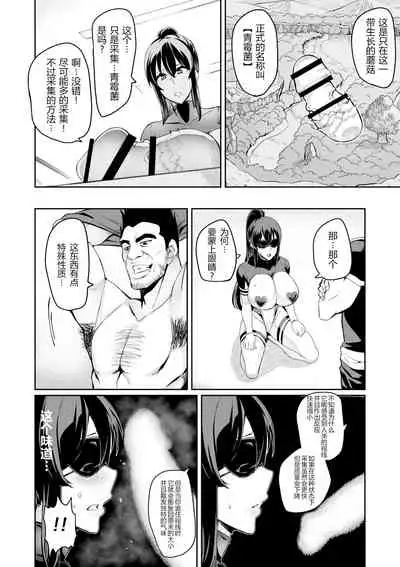 討魔戦姫セシリア（11-12个人机翻润色）