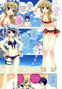 (C80) [Essentia (Fujima Takuya)] Natsushiki IS Beach (Infinite Stratos) (English) =Team Vanilla=