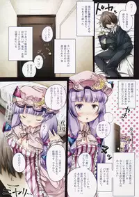 (C83) [Shirokurousa (Sugiyuu)] Patche-x! (Touhou Project)