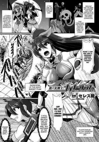 Yoru no Onna Kenshi Night Plum | Swordsgirl of The Night Knight Plum