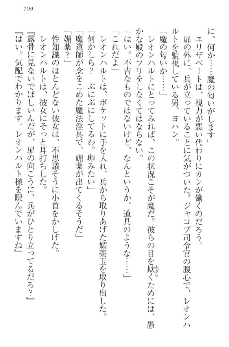 監獄城の囚人姫