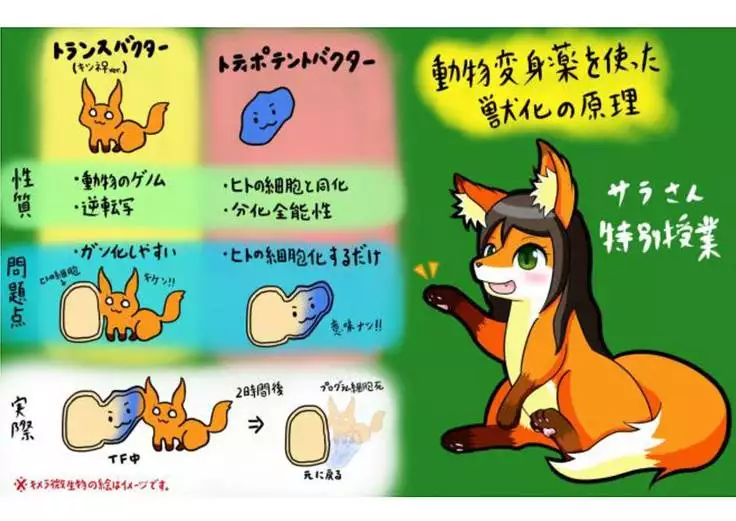 Kemo tan 1＠J-Chimera