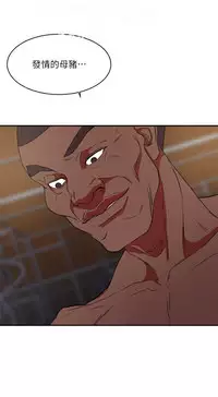 母豬養成計畫【中文】