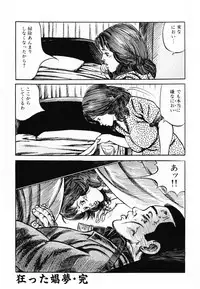 [Misawa Shin] Shakkin Zuma Niku Hensai