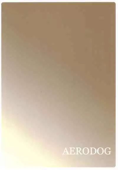 Straylight Enkou Gokko | Playing Pretend Compensated Dating with Straylight