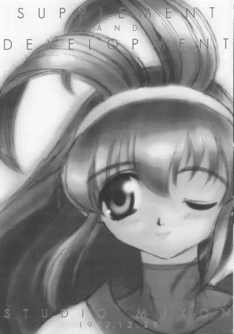 SUPPLEMENT AND DEVELOPMENT