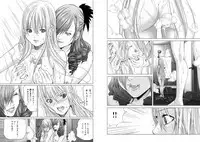 [Miyazaki Maya] Holy Knight ~Junketsu to Ai no Hazama de~ Vol. 3