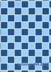 (C92) [telomereNA (Gustav)] Zenbu Natsu no Sei. (THE IDOLM@STER CINDERELLA GIRLS)