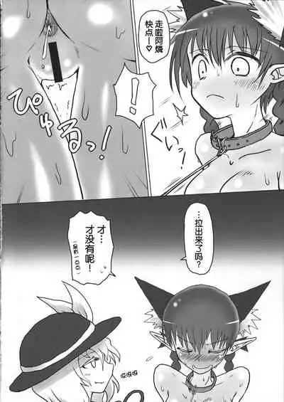 Osanpo Orinrin Goudou | 遛阿燐合作本