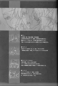 (C70) [Synthetic Garden (Miwa Yoshikazu)] Rancid Lovers #2 (Summon Night 3)