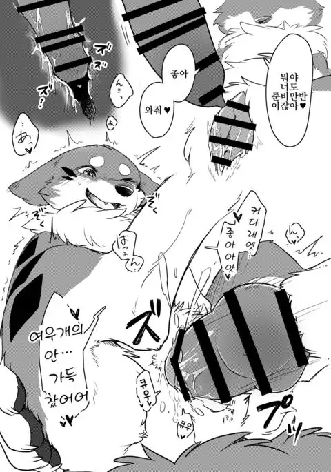 Kitsune Inu to Asobo! | 여우개 랑 놀자!