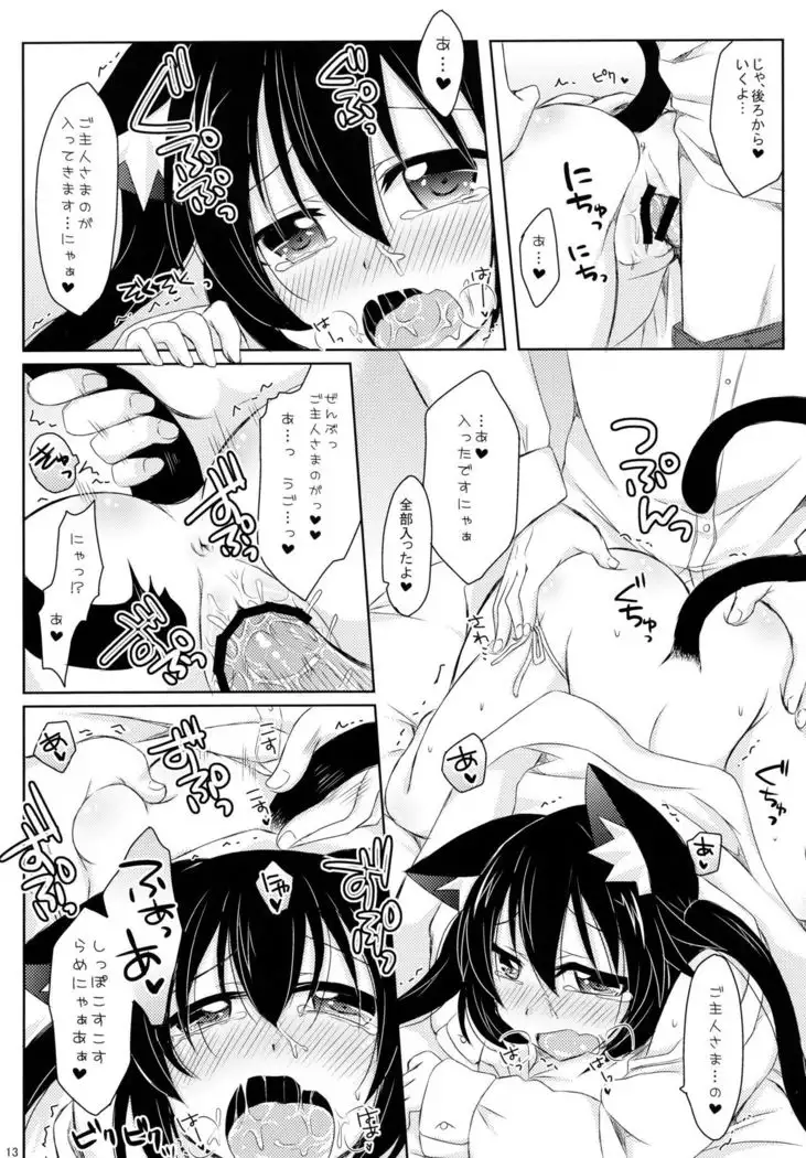 ウチの!あずにゃん。