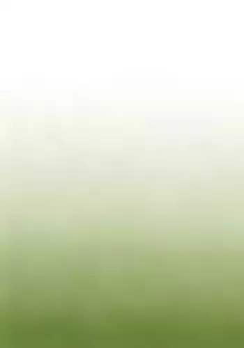 [Kago Shintarou] Satsusatsu Soushi 2 [English]