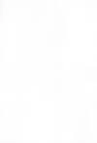 (Reitaisai 15) [Suoiretsym (Hisona)] Fusego, Usuakari (Touhou Project) [Chinese] [迷途竹林汉化]