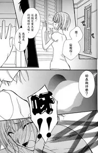 Gokujyo Drops 1 | 极上水果糖