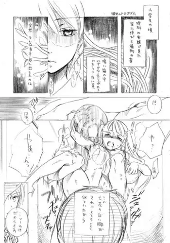 (C77) [Yowamidori (Saeki)] Kanojo no Tropism