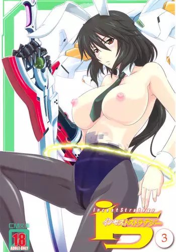 (C83) [CAZA MAYOR (Tsutsumi Akari)] is Incest Strategy 3 (Infinite Stratos)