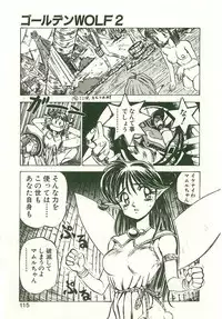 [Nanno Koto] Golden Wolf 2