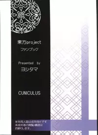 (Daikyuushuu Touhousai 4) [CUNICULUS (Yositama)] Everyday Night Fever!! (Touhou Project)