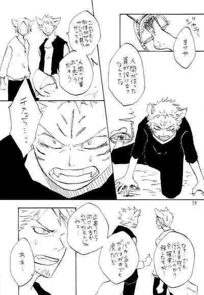 海の虹が沈む森