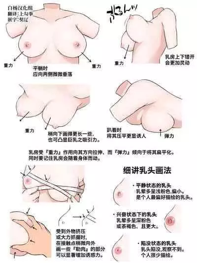 [Shirayuki] Oppai ni Tsuite | 教你如何勾画乳房 [Chinese] [白杨汉化组]
