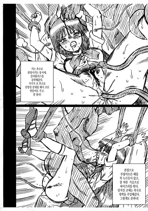 SAILORMOON FILE Hino Rei Gazoushuu