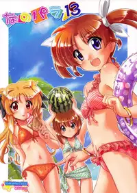 (C84) [Marchen Box (Various)] Nano Para 13 (Mahou Shoujo Lyrical Nanoha)