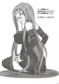 (C91) [Shirakaba Doori (DRY)] R11 (Fate/stay night)