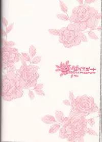 (C75) [Pierre (Garakuta Sochi)] Dream Passport (Naruto)