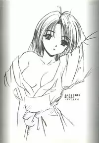 [FINAL EVOLUTION S-RS (ZAN, Chosuke)] VISUAL DESIRE 2 (With You)