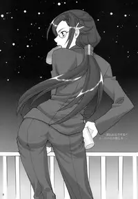 (SC37) [NIKKA (Mario Kaneda)] Ryuusei LOVERS (DARKER THAN BLACK)