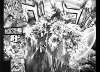 [Hagiwara Kazushi] Bastard complete edition vol2 [Jap]