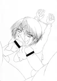 (C72) [Dress (Various)] RUMBLU-EX-DLC (RUMBLE ROSES)