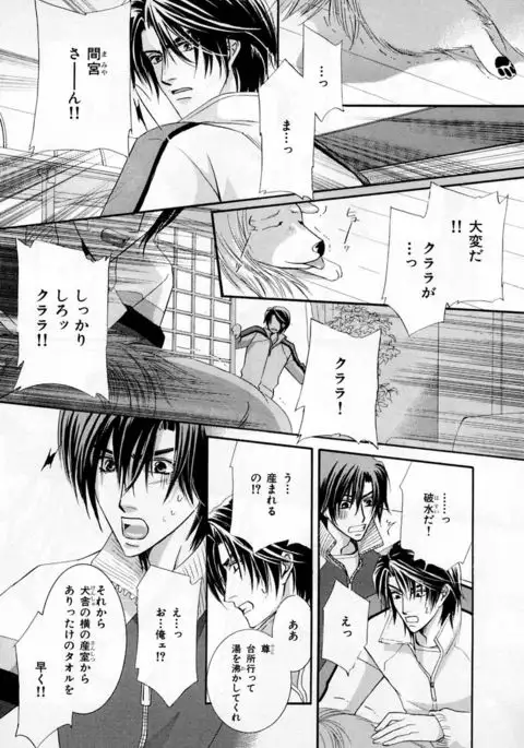 b-BOY Phoenix Vol.3 Tsundere Tokushuu