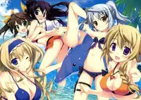 (C80) [Essentia (Fujima Takuya)] Natsushiki IS Beach (Infinite Stratos) (English) =Team Vanilla=