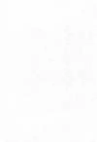 (C70) [Furaipan Daimaou (Chouchin Ankou)] Aniero Mix 002 (Powerpuff Girls Z)