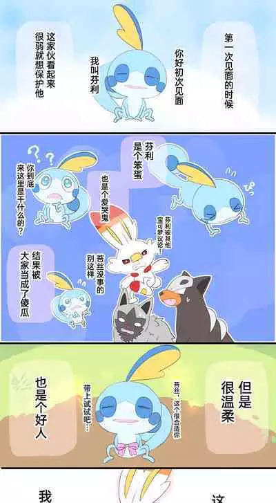 |宝可梦的故事（呜鸟木个人汉化组）