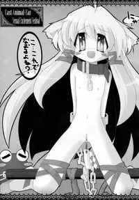 (Reitaisai 7) [Cat Expert (Various)] Touhou Kemomimi Hatsujousai (Touhou Project)