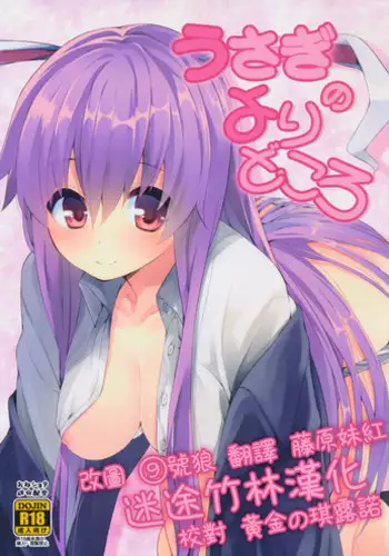 (Reitaisai 13) [Youyoumu (Nigo)] Usagi no Yoridokoro (Touhou Project) [Chinese] [迷途竹林汉化]