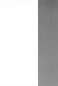 (C84) [Tayo (Nakuma Meika)] Y.D.N (Ib)