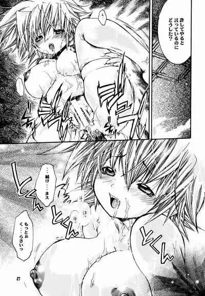 Shuuen no Nai Yoru o Mukaete