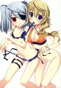 (C80) [Essentia (Fujima Takuya)] Natsushiki IS Beach (Infinite Stratos) (English) =Team Vanilla=