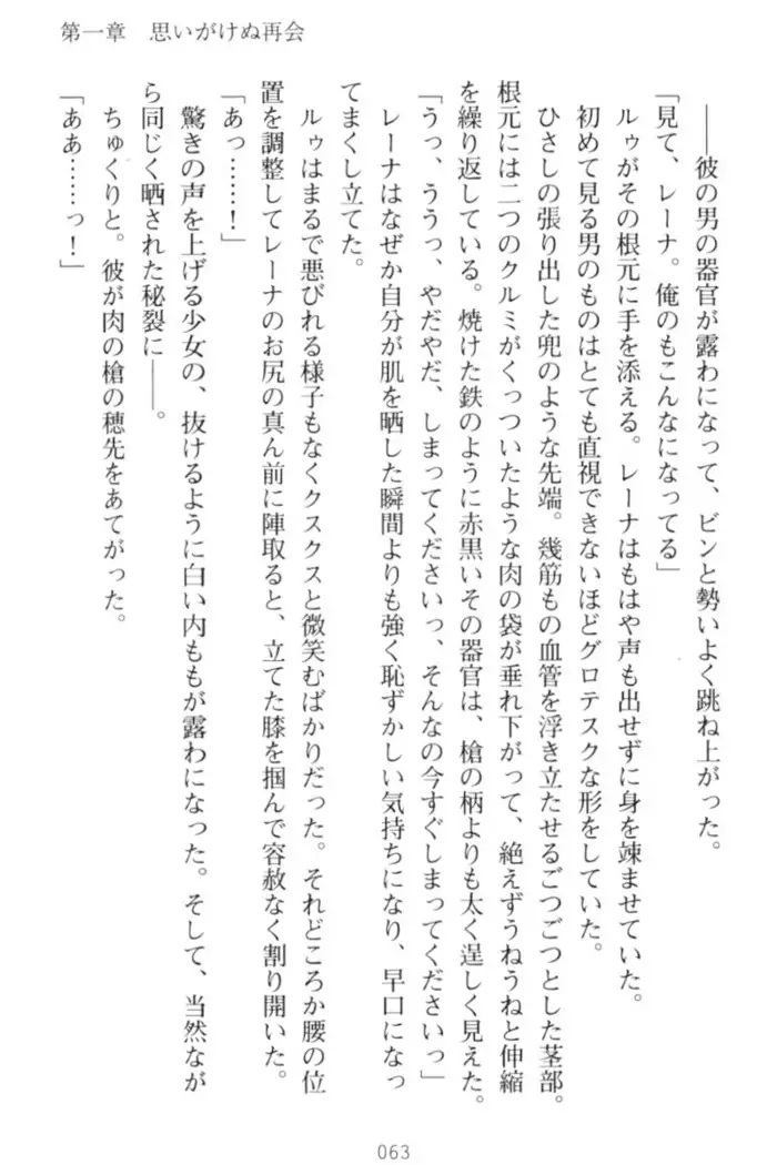 調教師と初恋の戦乙女